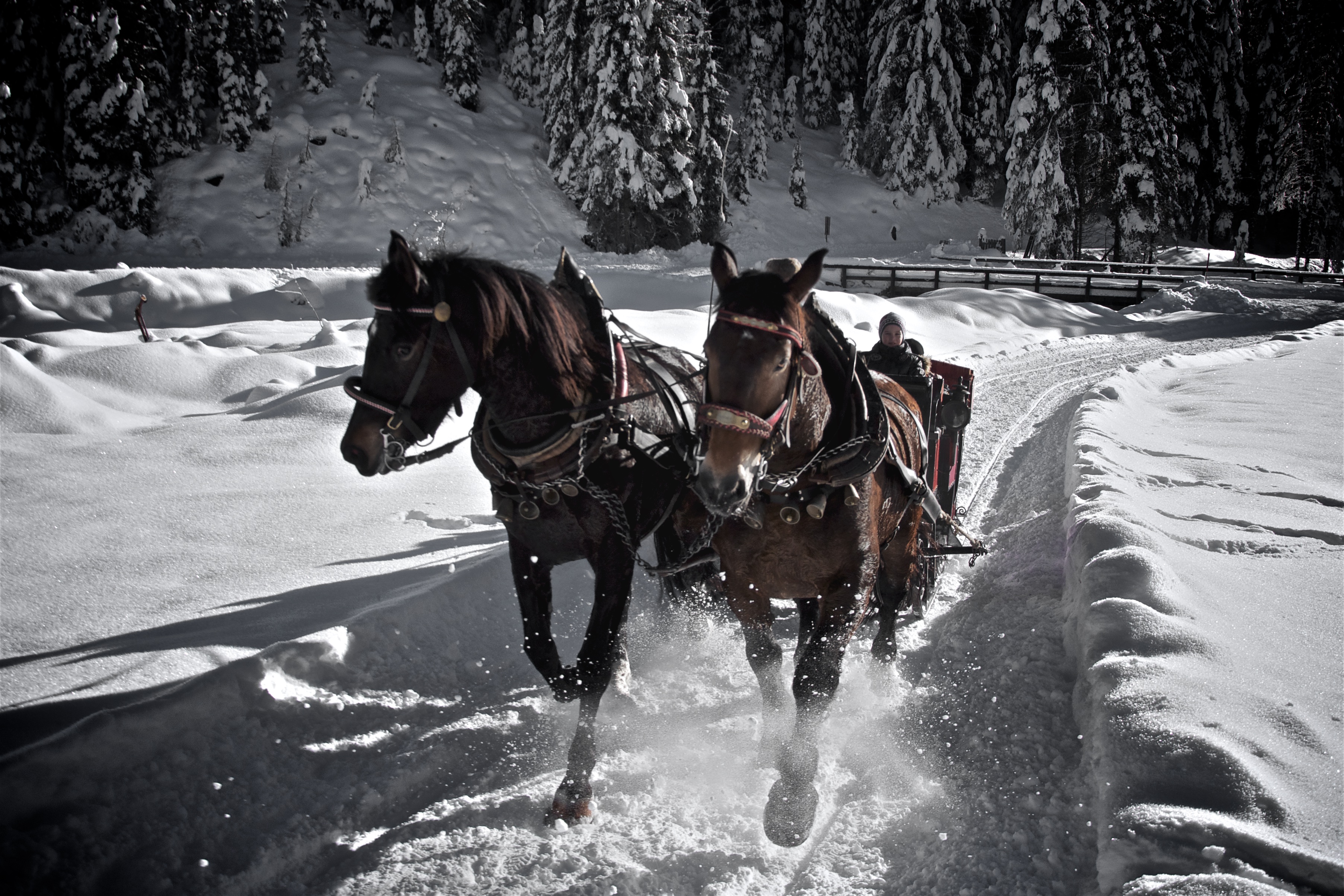 Winkeltal Winter | Außervillgraten | Villgratental