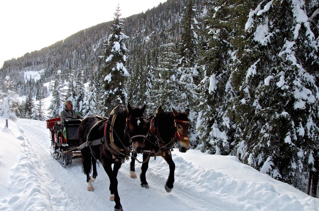 Winkeltal Winter | Außervillgraten | Villgratental